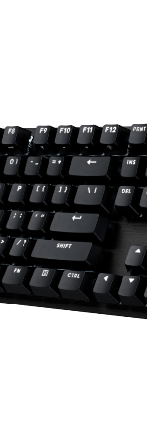 Logitech G413 TKL SE Mechanical Gaming Keyboard - Compact Backlit Keyboard with Tactile Mechanical Switches, Anti-Ghosting, Compatible with Windows, macOS - Black Aluminum