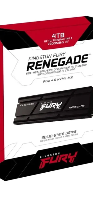 SFYRDK/4000G Kingston Fury Renegade M.2 PCIe Gen 4.0 4TB Gaming NVMe SSD with Heatsink upto 7300MB/s Read, For PS5 ,PC